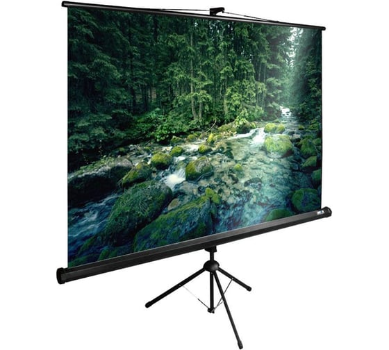 Напольный рулонный экран Cactus TriExpert 4:3, 165x220 см, черный CS-PSTE-220X165-BK 1021153 1