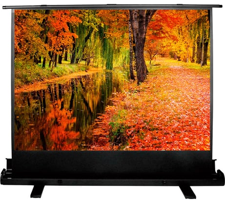 Напольный рулонный экран Cactus FloorExpert 4:3, 150x200 см CS-PSFLE-200X150 1070257