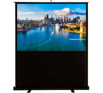 Напольный рулонный экран Cactus FloorCompactExpert 4:3, 120x160 см CS-PSFLCE-160X120 1070216