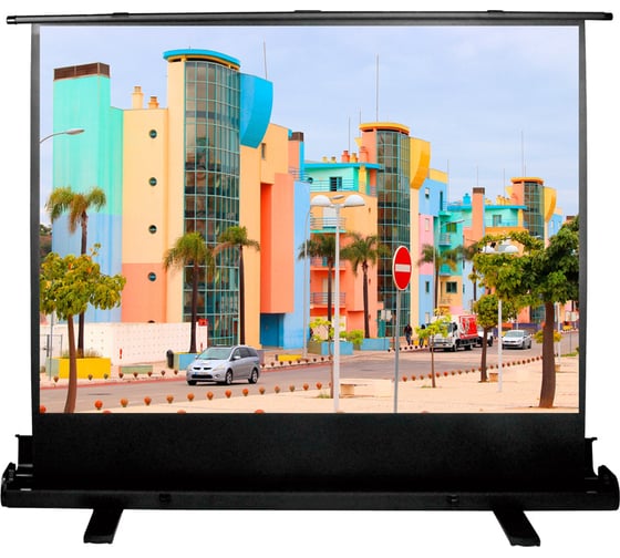 Напольный рулонный экран Cactus FloorExpert 4:3, 120x160 см CS-PSFLE-160X120 1070255 1