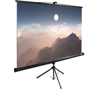 Напольный рулонный экран Cactus TriExpert 1:1, 180x180 см, черный CS-PSTE-180X180-BK 1019817