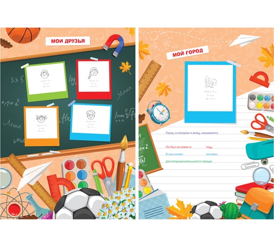 Папка-портфолио для школьника ArtSpace 7БЦ А4, на 4 кольцах, 20 файлов, 10 вкладышей 318228