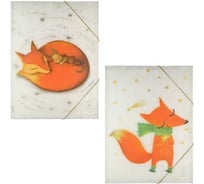 Папка-файл Bruno Visconti на резинке ВОЛШЕБНЫЕ ЛИСЫ А4 2 вида 14-033/03