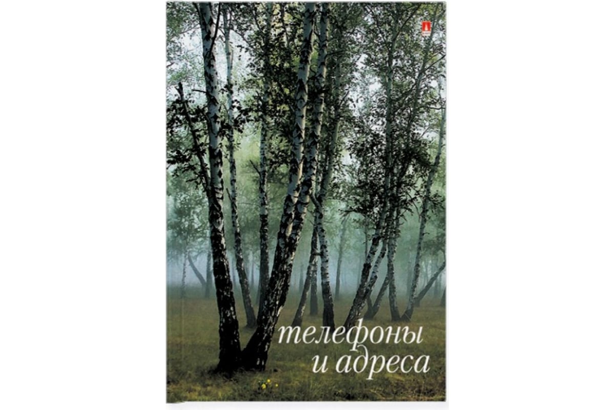 Телефонная книга Bruno Visconti формат А7 ГЛЯНЛАМ 4 вида 8-006 - выгодная  цена, отзывы, характеристики, фото - купить в Москве и РФ