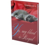 Телефонная книга Bruno Visconti формат А7 ГЛЯНЛАМ 4 вида 8-006