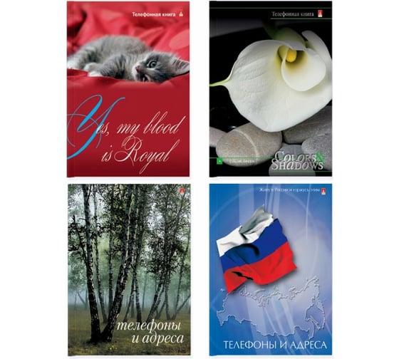 Телефонная книга Bruno Visconti формат А7 ГЛЯНЛАМ 4 вида 8-006