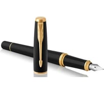 Перьевая ручка Parker Urban Core - Muted Black GT, F 1931593