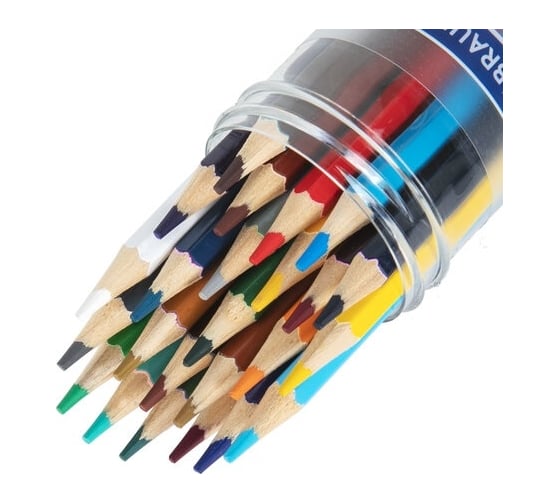 Цветные мягкие двусторонние карандаши BRAUBERG Premium Twin Colour 24 штуки, 48 цветов, туба 181876