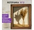 Рамка BRAUBERG Loft Ego из мангового дерева, фото 15x21 см, акриловый экран, 20x26 см 391281 2