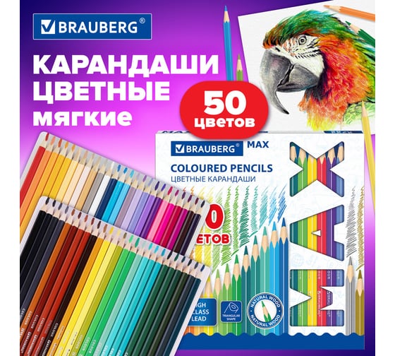 Цветные супермягкие карандаши BRAUBERG Max яркие, трехгранные, 50 цветов, грифель мягкий 3.3 мм 181860
