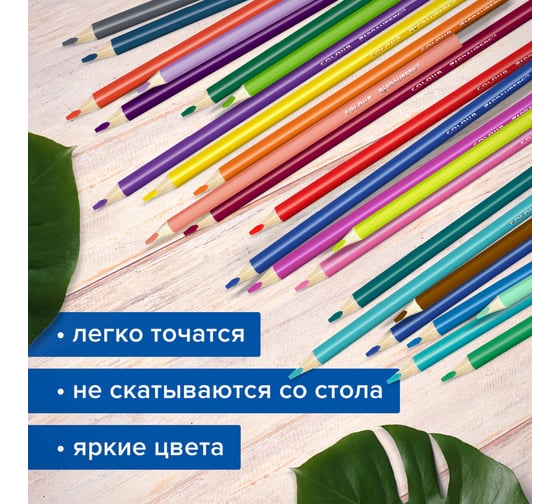 Цветные супермягкие карандаши BRAUBERG Max яркие, трехгранные, 50 цветов, грифель мягкий 3.3 мм 181860