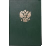 Книга учета BRAUBERG 96 л, клетка, твердая, бумвинил, офсет, герб, А4, 200x290 мм, зеленая 130277