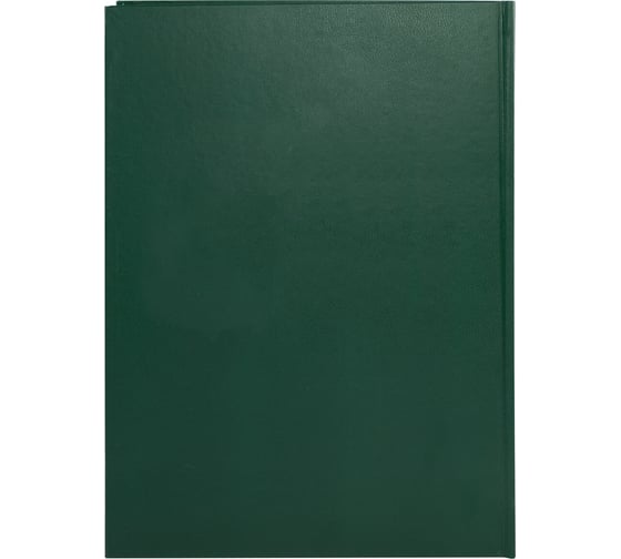 Книга учета BRAUBERG 96 л, клетка, твердая, бумвинил, офсет, герб, А4, 200x290 мм, зеленая 130277