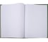 Книга учета BRAUBERG 96 л, клетка, твердая, бумвинил, офсет, герб, А4, 200x290 мм, зеленая 130277 4