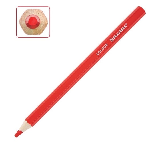 Цветные утолщенные карандаши BRAUBERG Kids 24 цвета, грифель 5 мм 181879