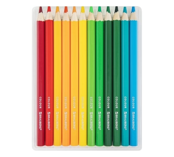 Цветные утолщенные карандаши BRAUBERG Kids 24 цвета, грифель 5 мм 181879