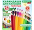 Цветные утолщенные карандаши BRAUBERG Kids 24 цвета, грифель 5 мм 181879 2