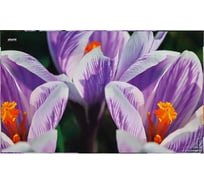 Коврик на стол Attache Selection Сrocus 350x590 мм разноцветный 1277769