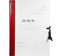 Архивная папка Attache Форма 21 Дело на 2-х завязках А4 100 мм картон/бумвинил до 1000 листов 1568184