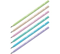 Чернографитный карандаш Berlingo flexy pastel hb, трехгранный, заточенный, пластиковый, пвх-бокс BP01013