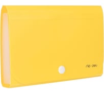 Папка-органайзер DELI Vivid на кнопке, горизонтальная, А6, 12 отделений, рр, 0.6 мм, в ассортименте, e5561 1406475