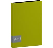 Папка Berlingo color zone с 80 вкладышами, 30 мм, 1000 мкм, салатовая AVp_80119