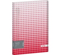 Папка Berlingo squares на 4 кольцах, 24 мм, 600 мкм, d-кольца, с внутренним карманом RB4_4D054