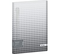 Папка Berlingo squares на 4 кольцах, 24 мм, 600 мкм, d-кольца, с внутренним карманом RB4_4D051