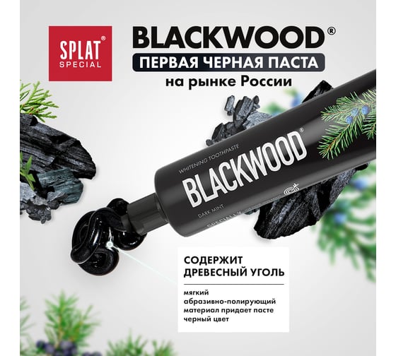Зубная паста SPLAT Special BLACKWOOD черное дерево, 75 мл 112.16040.0101