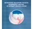 Электрическая зубная щетка ORAL-B Vitality Pro Cross Action Protect X Lilac 53019396 4