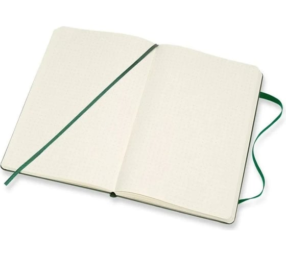 Блокнот Moleskine Classic Large, 240 стр., зеленый, пунктир 1127987QP066K15