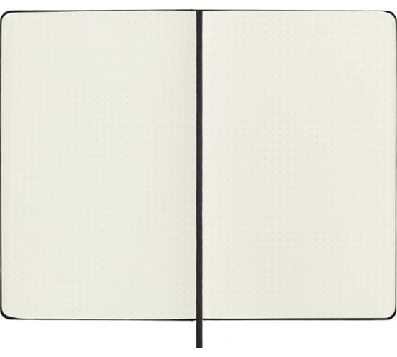 Блокнот Moleskine Classic Large, 240 стр., черный, пунктир 393775QP066