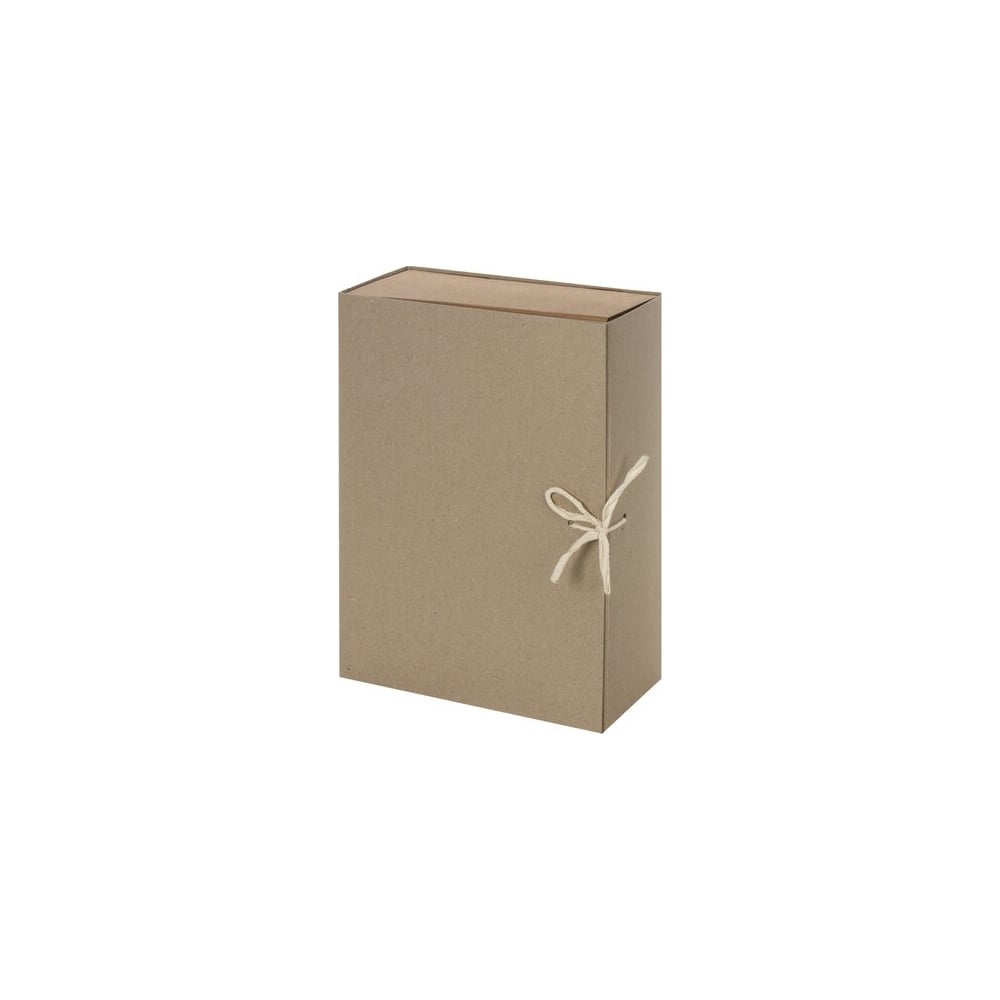 Архивный короб Staff А4, 240x330 мм, 100 мм, 2 завязки, переплетный ...