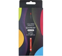 Набор цветных карандашей ACMELIAE blackwood artmate 12 цветов в картонном футляре 43068