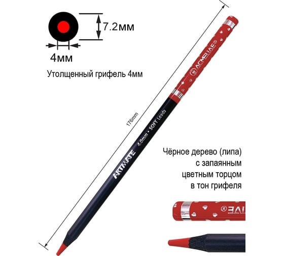 Набор цветных карандашей ACMELIAE blackwood artmate 12 цветов в картонном футляре 43068