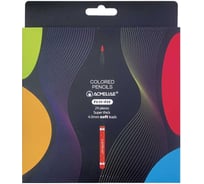 Набор цветных карандашей ACMELIAE blackwood artmate 24 цвета, в картонном футляре 43587