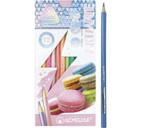 Набор цветных пастельных карандашей ACMELIAE pastel artmate 12 цветов, в картонном футляре 43742
