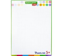 Доска для рисования BRAUBERG Kids с маркером, двусторонняя, в клетку/белая, 34x49 см А3 238153