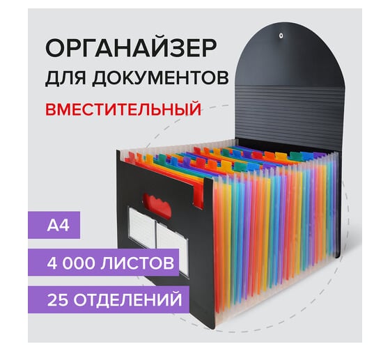 Папка-органайзер для бумаг и документов BRAUBERG Docs на резинке, 25 отделений, А4, черная 271151
