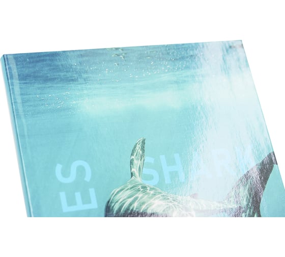 Книга для записей listoff ЕТИ580539