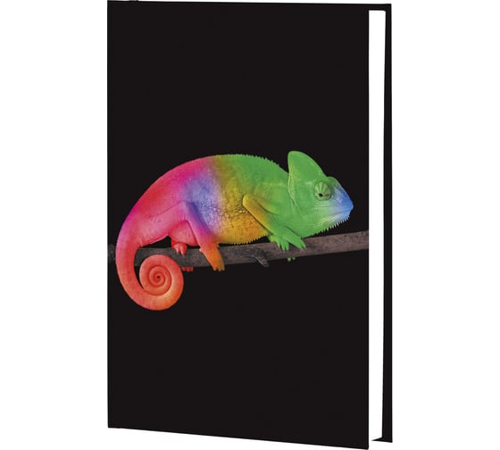 Книга для записей listoff ЕТИ596578 1