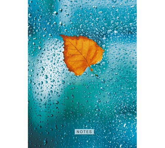Книга для записей listoff КЗ41603716