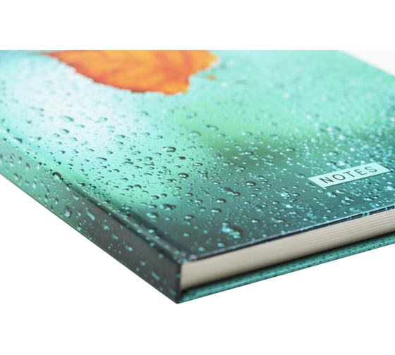 Книга для записей listoff КЗ41603716