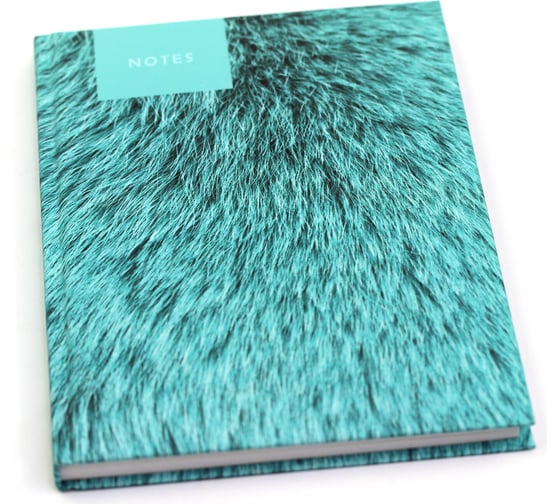 Книга для записей listoff КЗ51003522