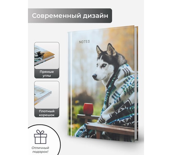 Книга для записей listoff КЗ51003499