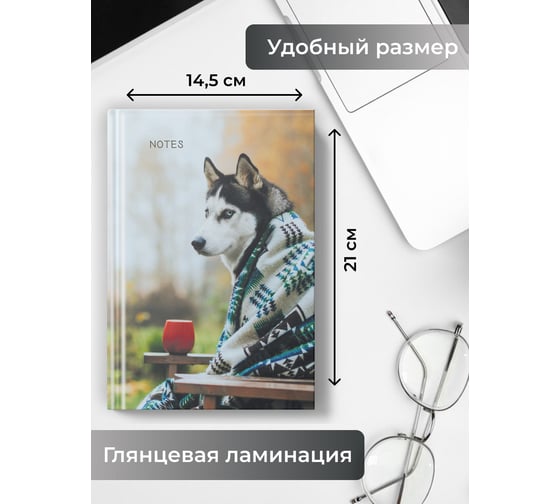 Книга для записей listoff КЗ51003499