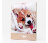 Книга для записей listoff КЗ5803490