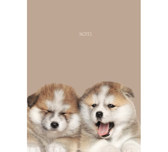 Книга для записей listoff КЗ6483723