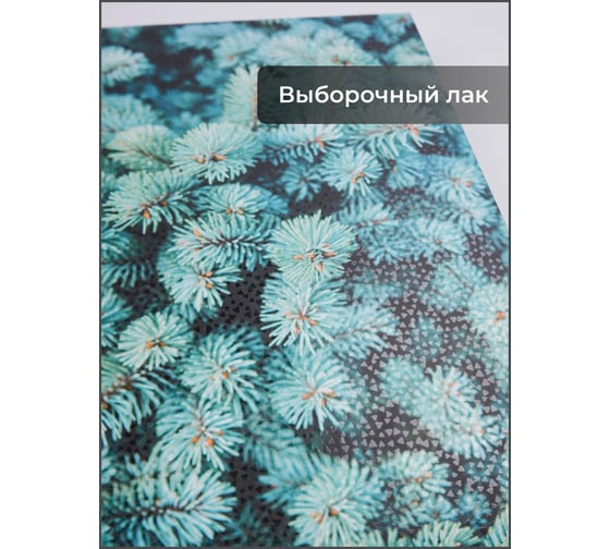 Книга для записей listoff КЗ6643730