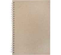 Скетчбук BRAUBERG крафт бумага 80 г/м2, 145x205 мм, 60 листов, гребень, твердая обложка, Art Debut 115065